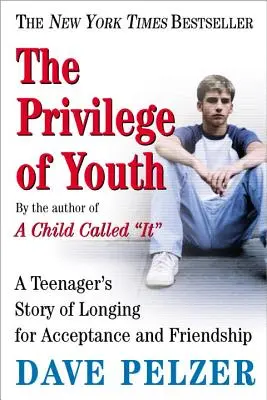 Privilegiul tinereții: Povestea unui adolescent care tânjește după acceptare și prietenie: A Teenager's Story of Longing for Acceptance and Friendship - The Privilege of Youth: A Teenager's Story of Longing for Acceptance and Friendship