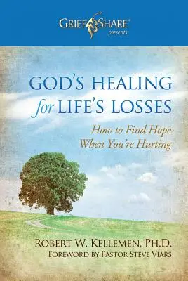 Vindecarea lui Dumnezeu pentru pierderile vieții: Cum să găsești speranța atunci când suferi - God's Healing for Life's Losses: How to Find Hope When You're Hurting