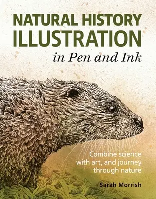 Ilustrație de istorie naturală în creion și cerneală - Natural History Illustration in Pen and Ink