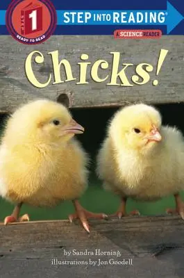 Puicuțe! - Chicks!