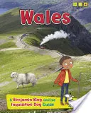 Țara Galilor - Un blog Benjamin și ghidul său curios pentru câini - Wales - A Benjamin Blog and His Inquisitive Dog Guide