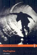 Nivelul 3: Fugarul - Level 3: The Fugitive