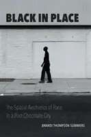 Black in Place: Estetica spațială a rasei într-un oraș post-Chocolate - Black in Place: The Spatial Aesthetics of Race in a Post-Chocolate City