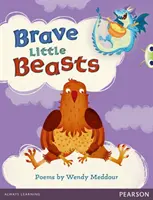 Bug Club Independent Julia Donaldson Play Year 1 Blue A Trip to Doctor Woof