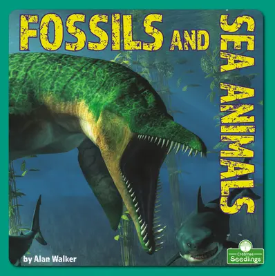 Fosile și animale marine - Fossils and Sea Animals