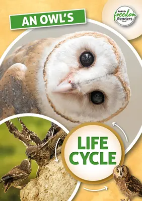 Ciclul de viață al bufniței - Owl's Life Cycle