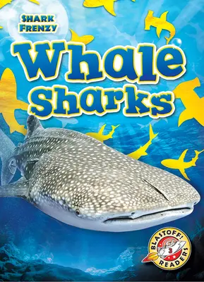 Rechini balenă - Whale Sharks