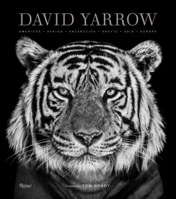 Fotografii David Yarrow: America Africa Antarctica Arctica Asia Europa - David Yarrow Photography: Americas Africa Antarctica Arctic Asia Europe