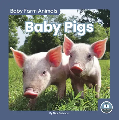 Pui de porc - Baby Pigs