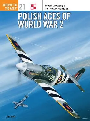 Așii polonezi ai celui de-al Doilea Război Mondial - Polish Aces of World War 2