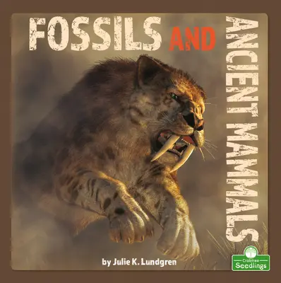 Fosile și mamifere antice - Fossils and Ancient Mammals