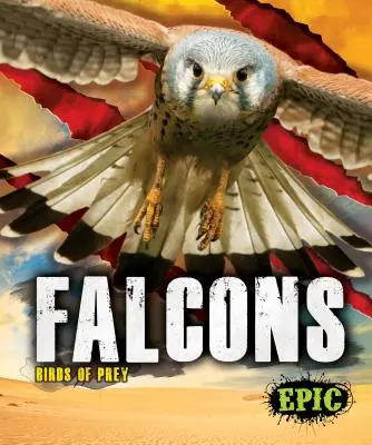 Șoimi - Falcons