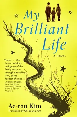 Viața mea strălucitoare - My Brilliant Life