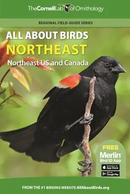 Totul despre păsări Nord-Est: Nord-estul SUA și Canada - All about Birds Northeast: Northeast Us and Canada