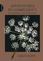 Aventuri în complexitate - Pentru organizații aflate la limita haosului (Adventures in Complexity - For Organisations Near the Edge of Chaos) - Adventures in Complexity - For Organisations Near the Edge of Chaos