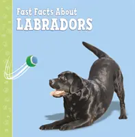 Date concrete despre labradori - Fast Facts About Labradors