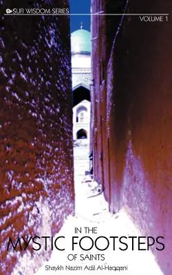 Pe urmele mistice ale sfinților Vol. 1 - In the Mystic Footsteps of Saints Vol. 1