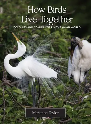 Cum trăiesc păsările împreună: Colonii și comunități în lumea păsărilor - How Birds Live Together: Colonies and Communities in the Avian World