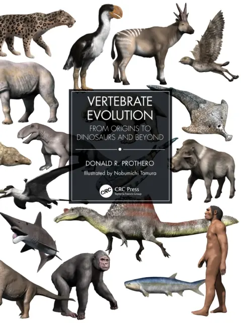Evoluția vertebratelor: De la origini la dinozauri și mai departe - Vertebrate Evolution: From Origins to Dinosaurs and Beyond
