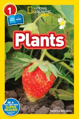 Plante - Plants