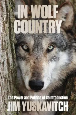 În Țara Lupilor: Puterea și politica de reintroducere - In Wolf Country: The Power and Politics of Reintroduction