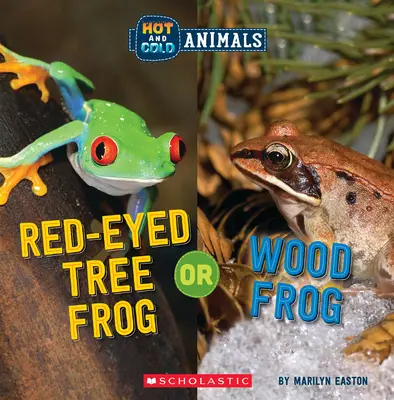 Broasca de copac cu ochi roșii sau broasca de pădure (animale calde și reci) - Red-Eyed Tree Frog or Wood Frog (Hot and Cold Animals)
