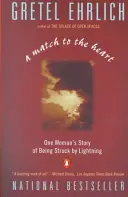 Un meci pentru inimă: Povestea unei femei care a fost lovită de trăsnet (One Woman's Story of Being Struck by Lightning) - A Match to the Heart: One Woman's Story of Being Struck by Lightning
