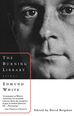 Biblioteca în flăcări: Eseuri - The Burning Library: Essays