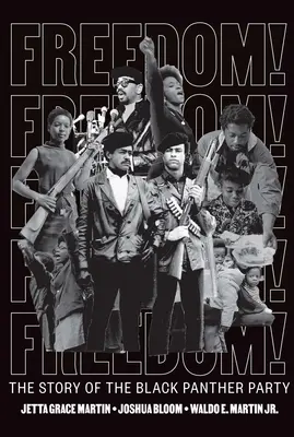 Libertate! povestea Partidului Pantera Neagră - Freedom! the Story of the Black Panther Party