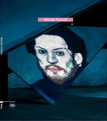 Imaginează-ți Picasso - Imagine Picasso