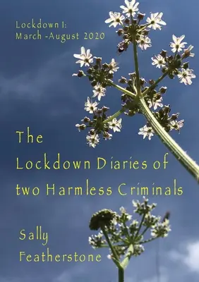 Lockdown Diary