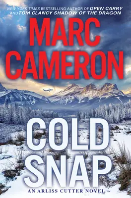 Cold Snap: Un roman de suspans plin de acțiune - Cold Snap: An Action Packed Novel of Suspense