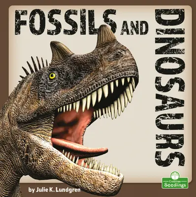 Fosile și dinozauri - Fossils and Dinosaurs