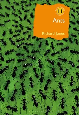 Furnicile: Insectele sociale supreme - Ants: The Ultimate Social Insects