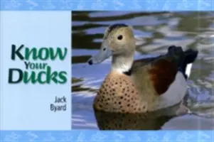 Cunoaște-ți rațele - Know Your Ducks