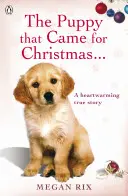 Cățelușul care a venit de Crăciun și a rămas pentru totdeauna - Puppy that Came for Christmas and Stayed Forever