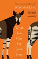 What You Can See From Here - Fenomenul „cald și curios”, bestseller de succes - What You Can See From Here - The 'warm and curious' bestselling phenomenon