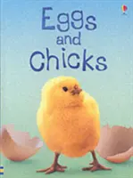 Ouă și puicuțe - Eggs and Chicks