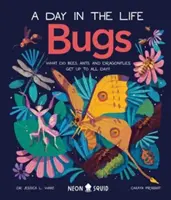 Bugs (a Day in the Life) - What Do Bees, Ants, and Dragonflies Get up to All Day? - Bugs (A Day in the Life) - What Do Bees, Ants, and Dragonflies Get up to All Day?