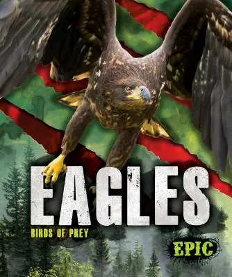 Vulturi - Eagles