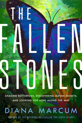 The Fallen Stones: Urmărind fluturi, descoperind secrete mayașe și căutând speranța de-a lungul drumului - The Fallen Stones: Chasing Butterflies, Discovering Mayan Secrets, and Looking for Hope Along the Way