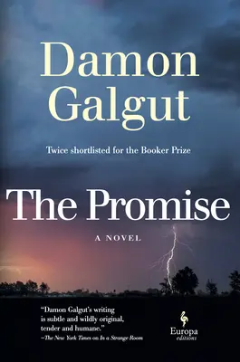 Promisiunea: un roman (câștigător al Premiului Booker) - The Promise: A Novel (Booker Prize Winner)