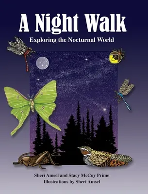 O plimbare nocturnă: Explorarea lumii nocturne - A Night Walk: Exploring the Nocturnal World