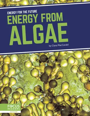 Energia din alge - Energy from Algae