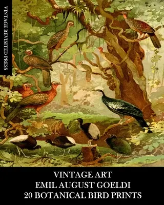 Vintage Art: Emil August Goeldi: 20 de printuri botanice cu păsări: Ephemera pentru înrămare, decorațiuni interioare, colaj și decoupage - Vintage Art: Emil August Goeldi: 20 Botanical Bird Prints: Ephemera for Framing, Home Decor, Collage and Decoupage