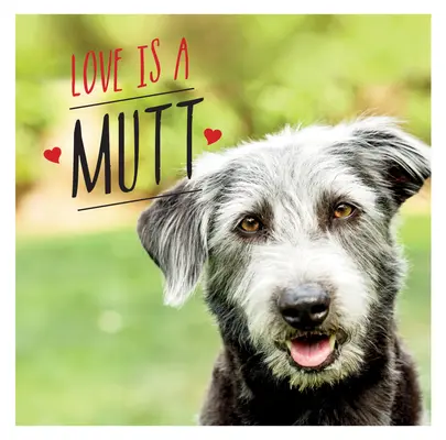 Love Is a Mutt: O celebrare Dog-Tastic a celor mai drăguțe rase mixte și încrucișate din lume - Love Is a Mutt: A Dog-Tastic Celebration of the World's Cutest Mixed and Cross Breeds