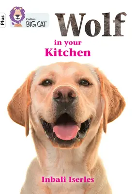 Lupul din bucătăria ta - Band 10+/White Plus - Wolf in your kitchen - Band 10+/White Plus