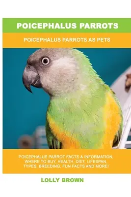 Papagalii Poicephalus: Papagalii Poicephalus ca animale de companie - Poicephalus Parrots: Poicephalus Parrots As Pets