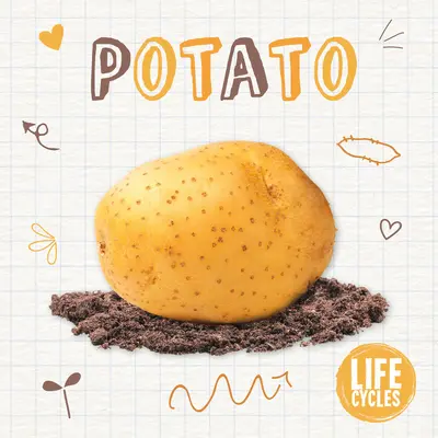 Cartofi - Potato
