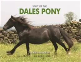 Spiritul poneiului din Dales - Spirit of the Dales Pony